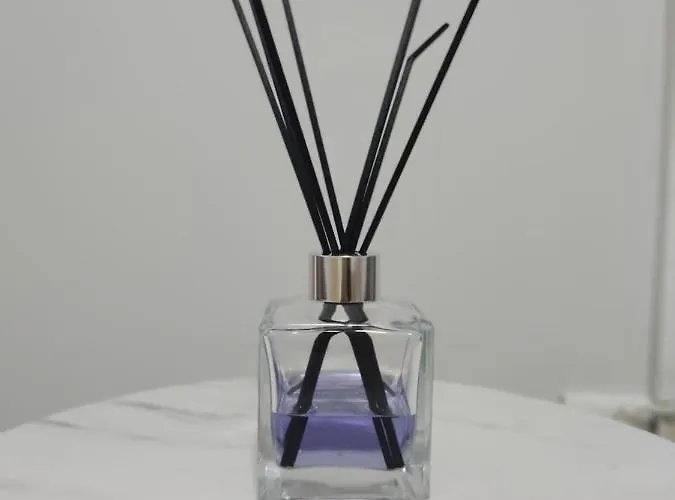 Chlo 1 公寓 地拉那