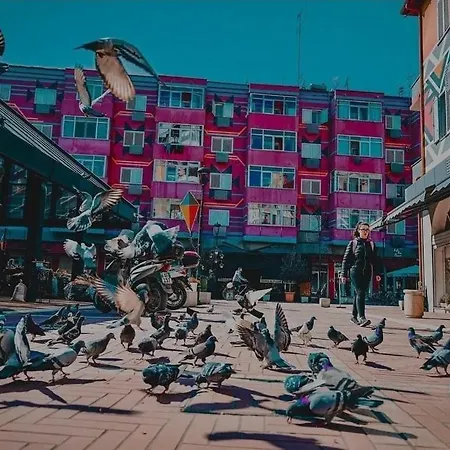 Chlo 1 * Tirana
